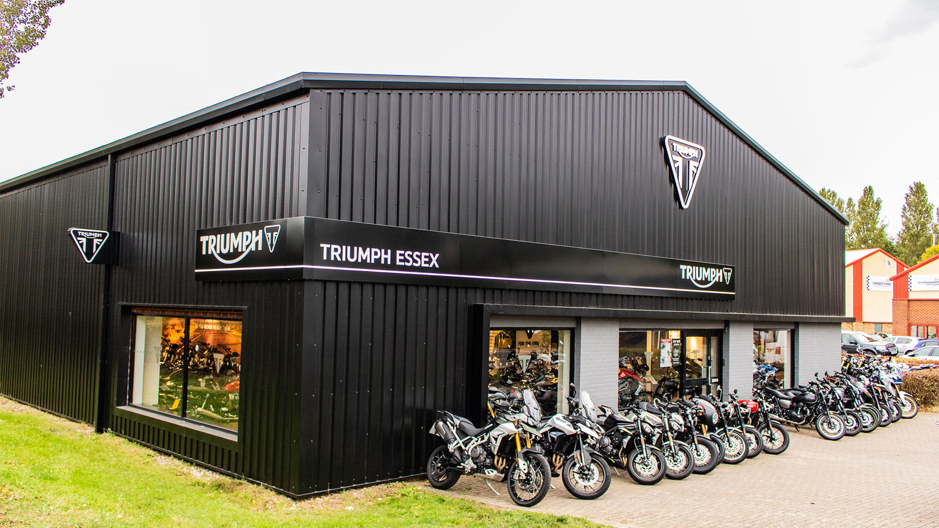 Triumph dealer sale